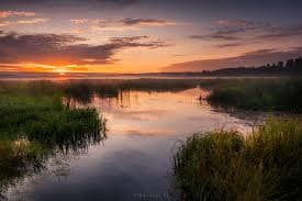 Biomechanika Stosowana w Sporcie i Rehabilitacji